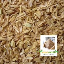 Rice Bran